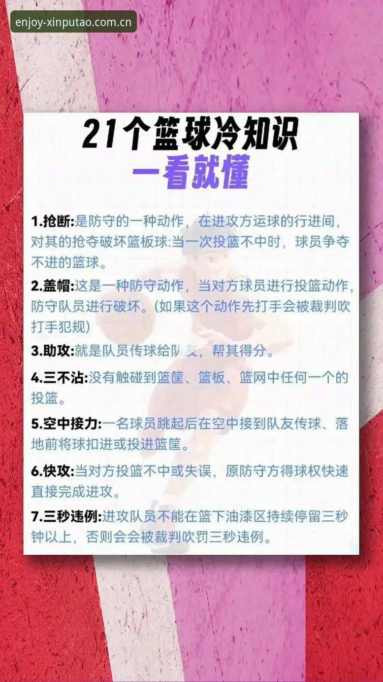 新葡萄棋牌篮球资讯安卓版实用指南：从下载到看数据的完整流程